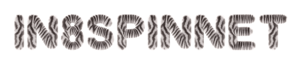 in8spinnet.com-Logo